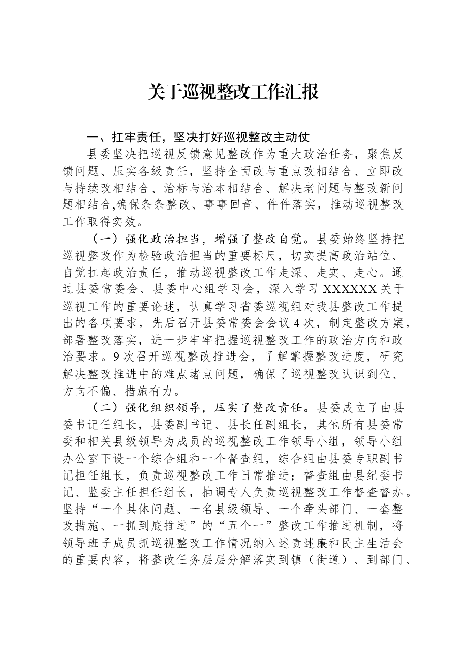 关于巡视整改工作汇报.docx,第1页预览