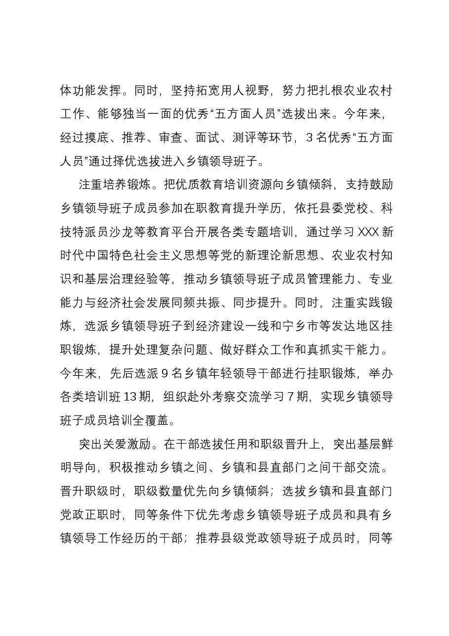 在全市基层干部队伍建设推进会上的汇报发言.docx,第2页预览