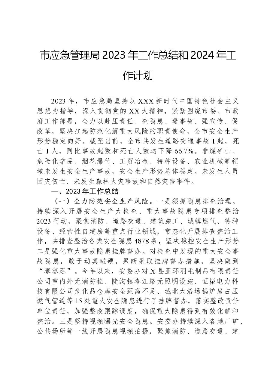 市应急管理局2023年工作总结和2024年工作计划.docx,第1页预览