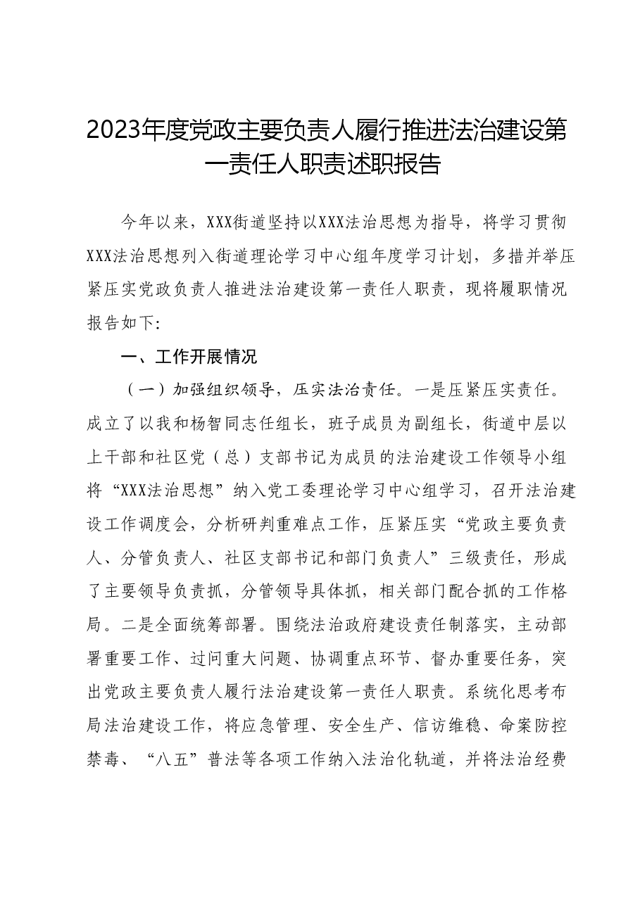 2023年度党政主要负责人履行推进法治建设第一责任人职责述职报告.docx,第1页预览