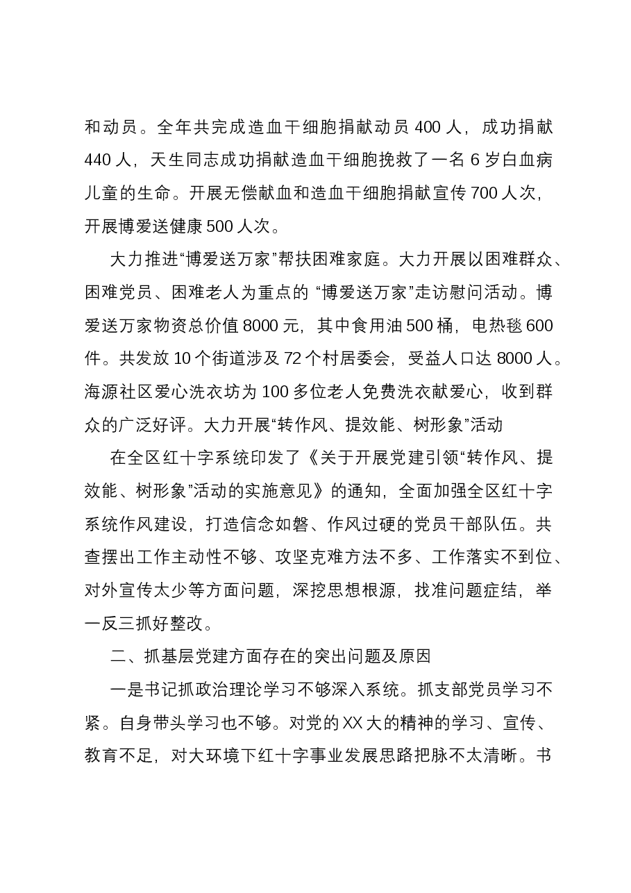 区红十字会党支部书记抓基层党建工作述职报告.docx，第3页预览