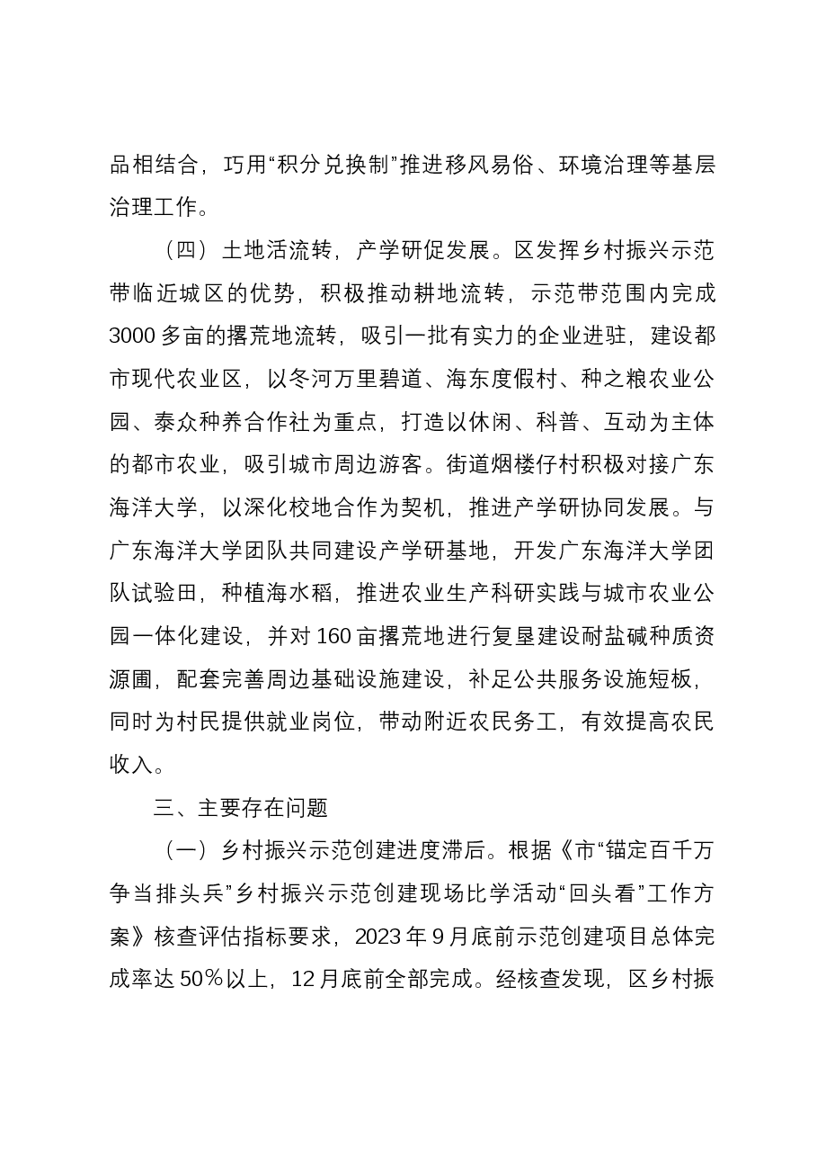 市乡村振兴示范创建现场比学活动“回头看”核查工作情况的报告.docx,第4页预览