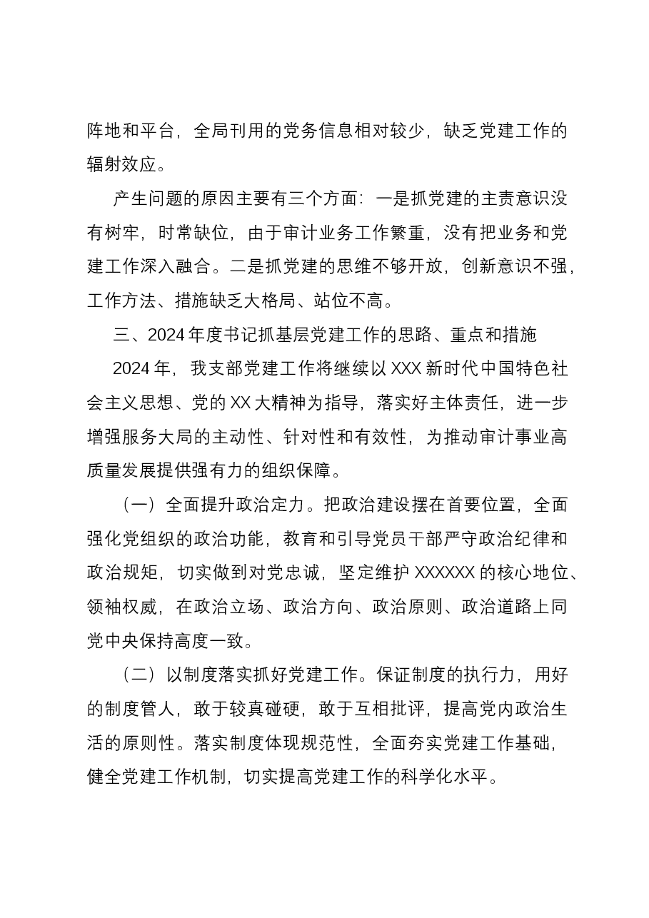 区审计局党支部书记抓基层党建工作述职报告.docx,第4页预览
