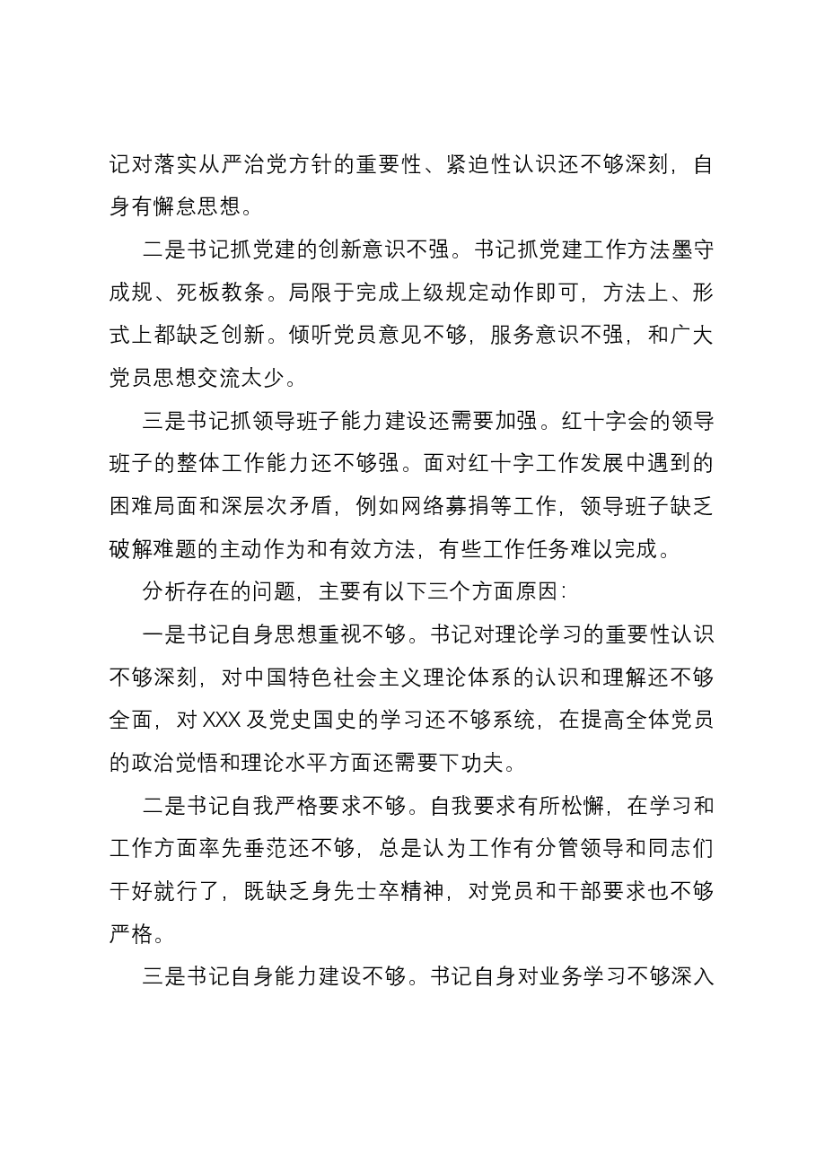 区红十字会党支部书记抓基层党建工作述职报告.docx，第4页预览