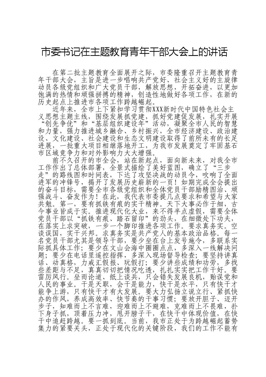 市委书记在主题教育青年干部大会上的讲话.doc,第1页预览