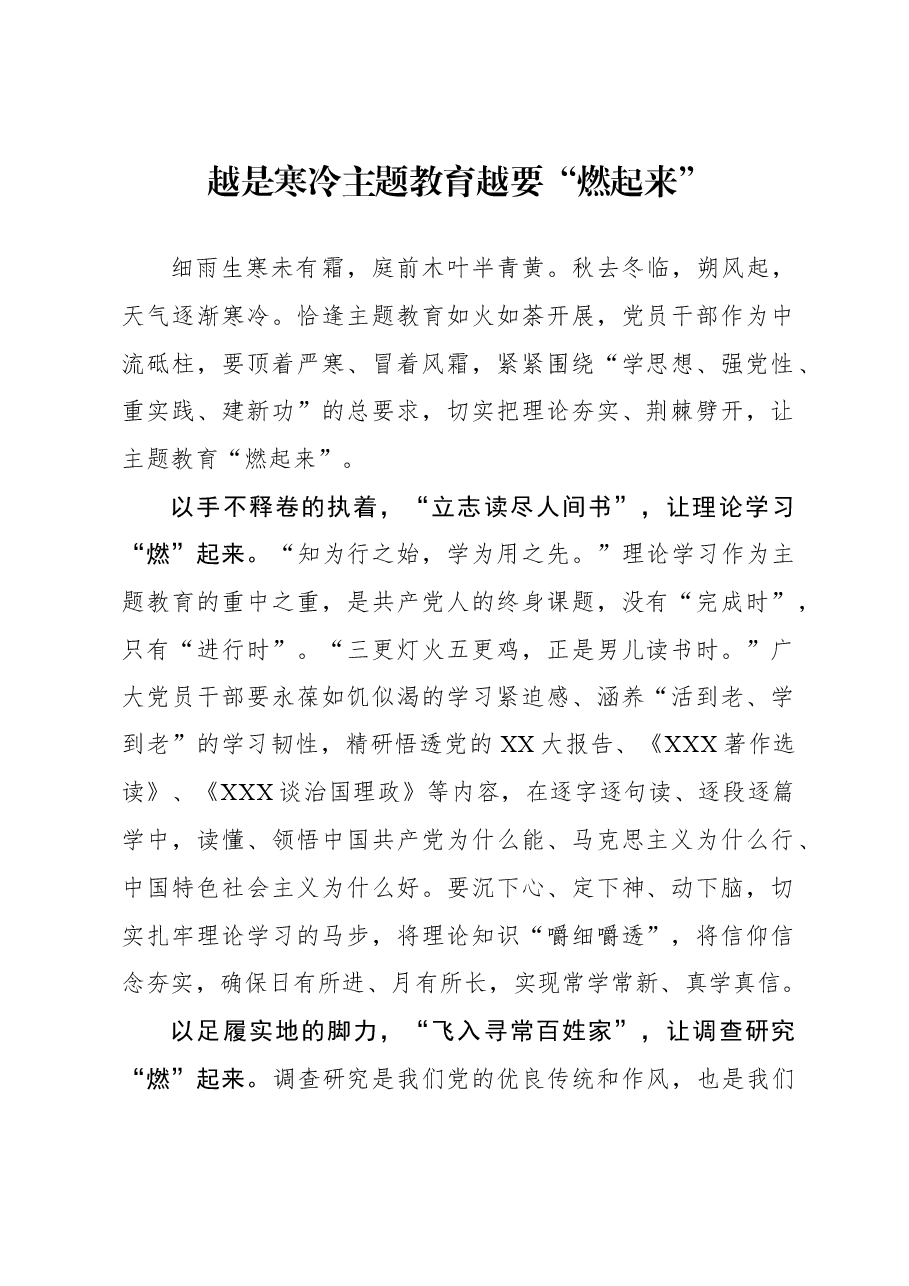 心得体会：越是寒冷 主题教育越要“燃起来”.docx，第1页预览