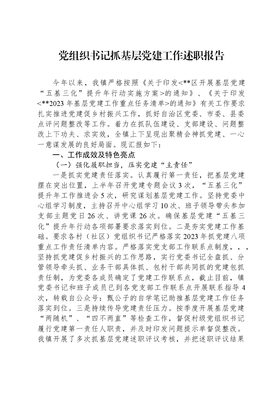 党组织书记抓基层党建工作述职报告.docx,第1页预览