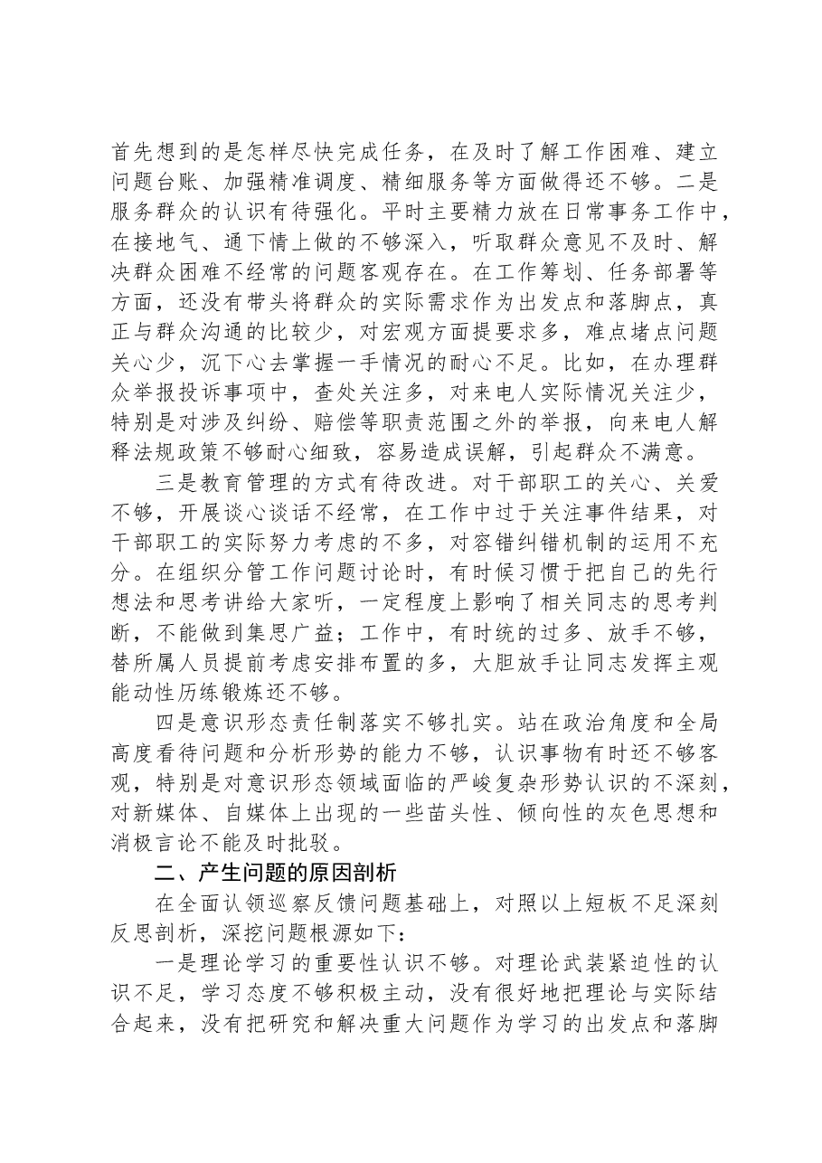 市委巡察整改专题民主生活会个人发言提纲.docx,第3页预览