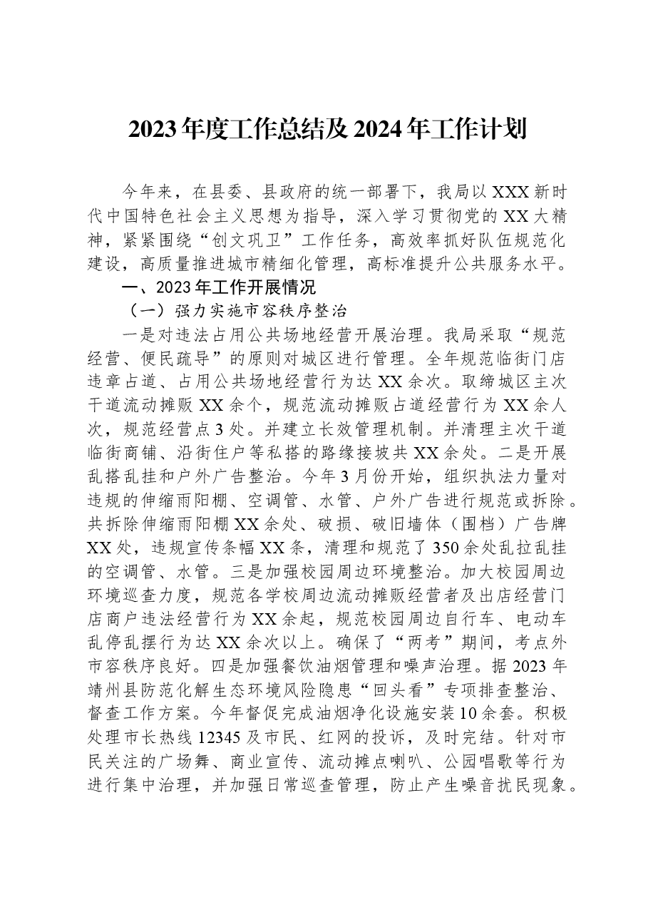 2023年度工作总结及2024年工作计划.docx,第1页预览