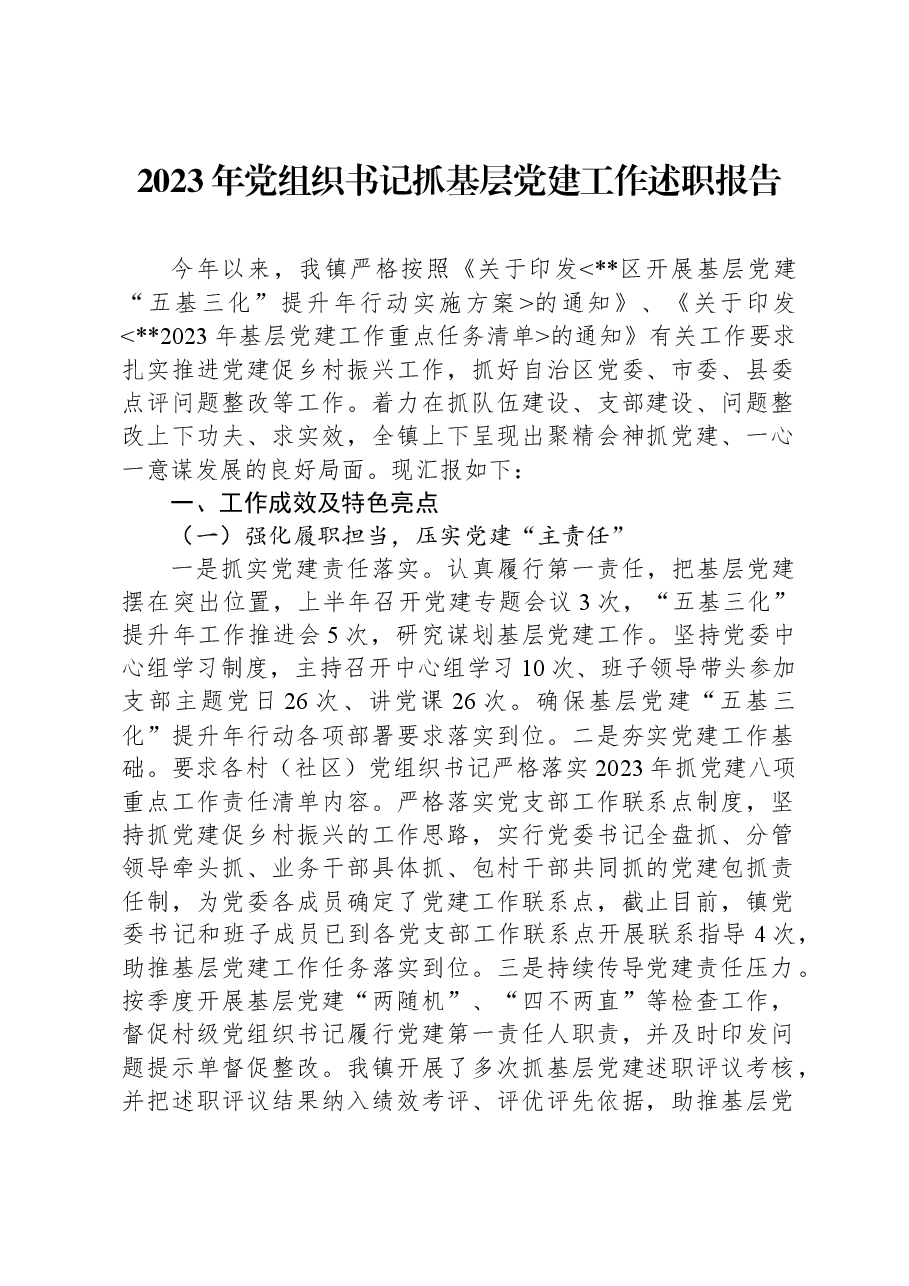 2023年党组织书记抓基层党建工作述职报告09.docx,第1页预览