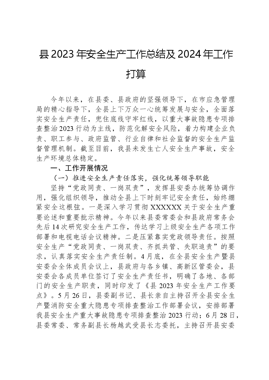 县2023年安全生产工作总结及2024年工作打算.docx,第1页预览