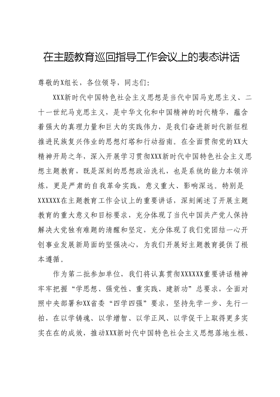 在主题教育巡回指导工作会议上的表态讲话.docx，第1页预览