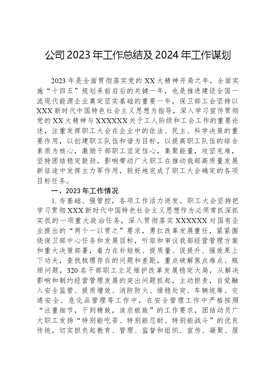 公司2023年工作总结及2024年工作谋划.docx,第1页预览