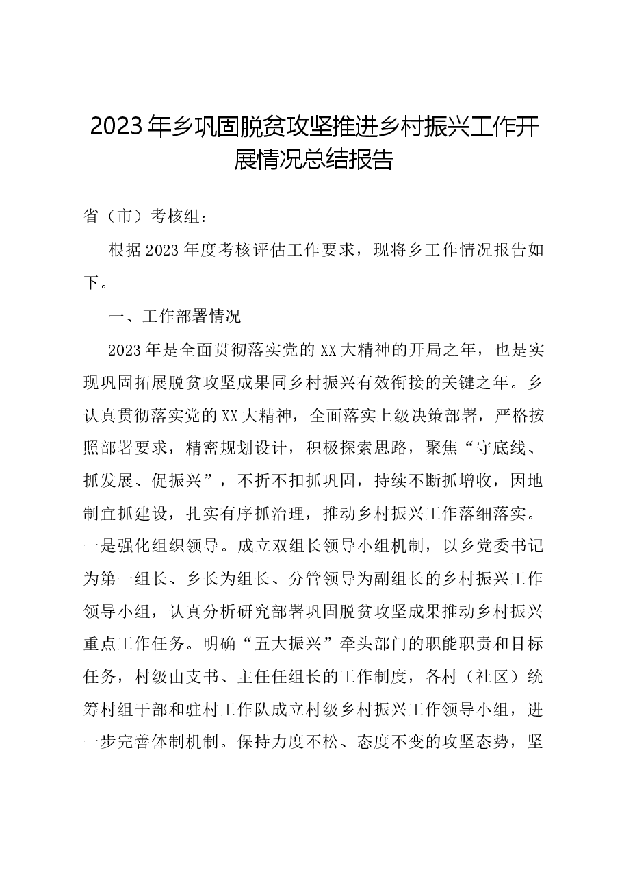 2023年乡巩固脱贫攻坚推进乡村振兴工作开展情况总结报告.docx,第1页预览