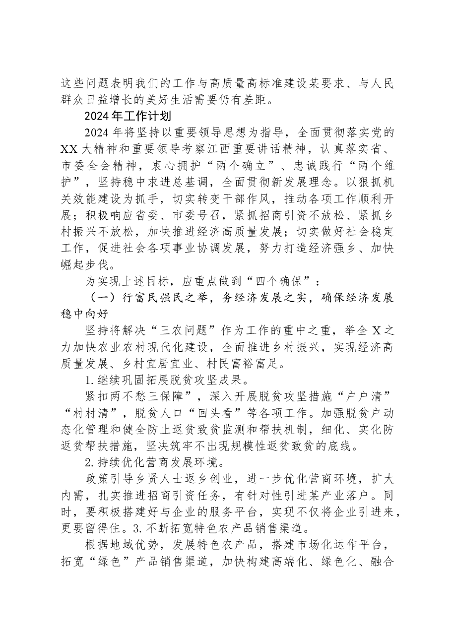 2023年工作总结及2024年工作计划06.docx,第4页预览