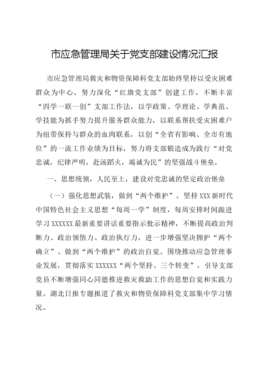 市应急管理局关于党支部建设情况汇报.docx,第1页预览
