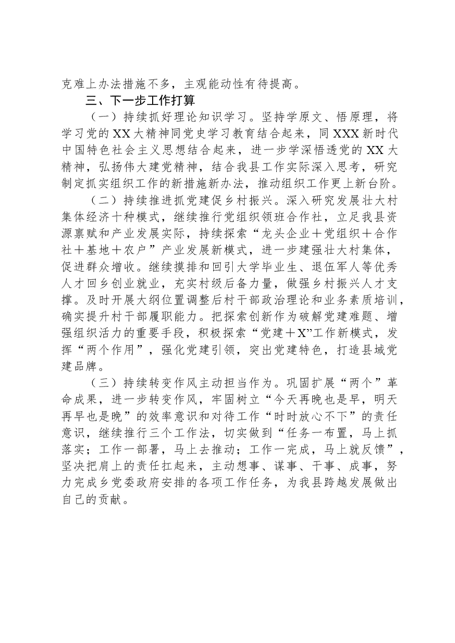 2023年度党员干部个人述职报告.docx，第4页预览