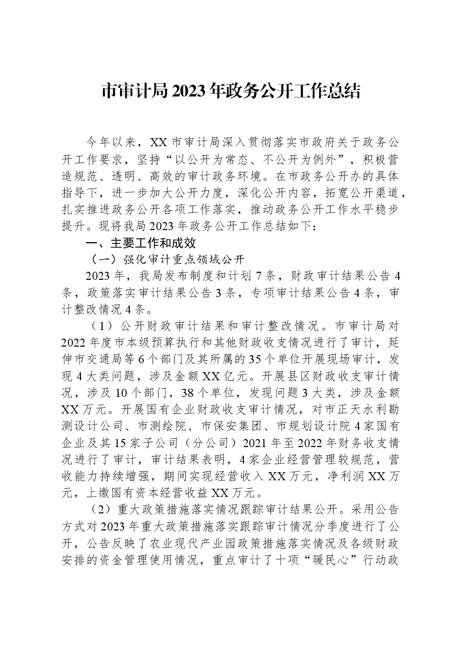 市审计局2023年政务公开工作总结.docx,第1页预览