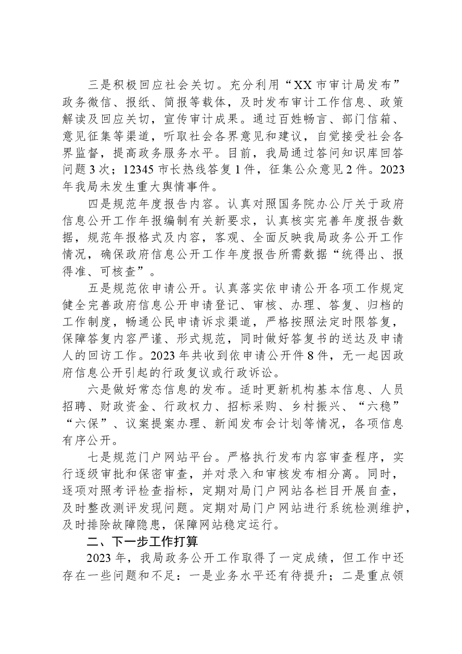 市审计局2023年政务公开工作总结.docx,第3页预览