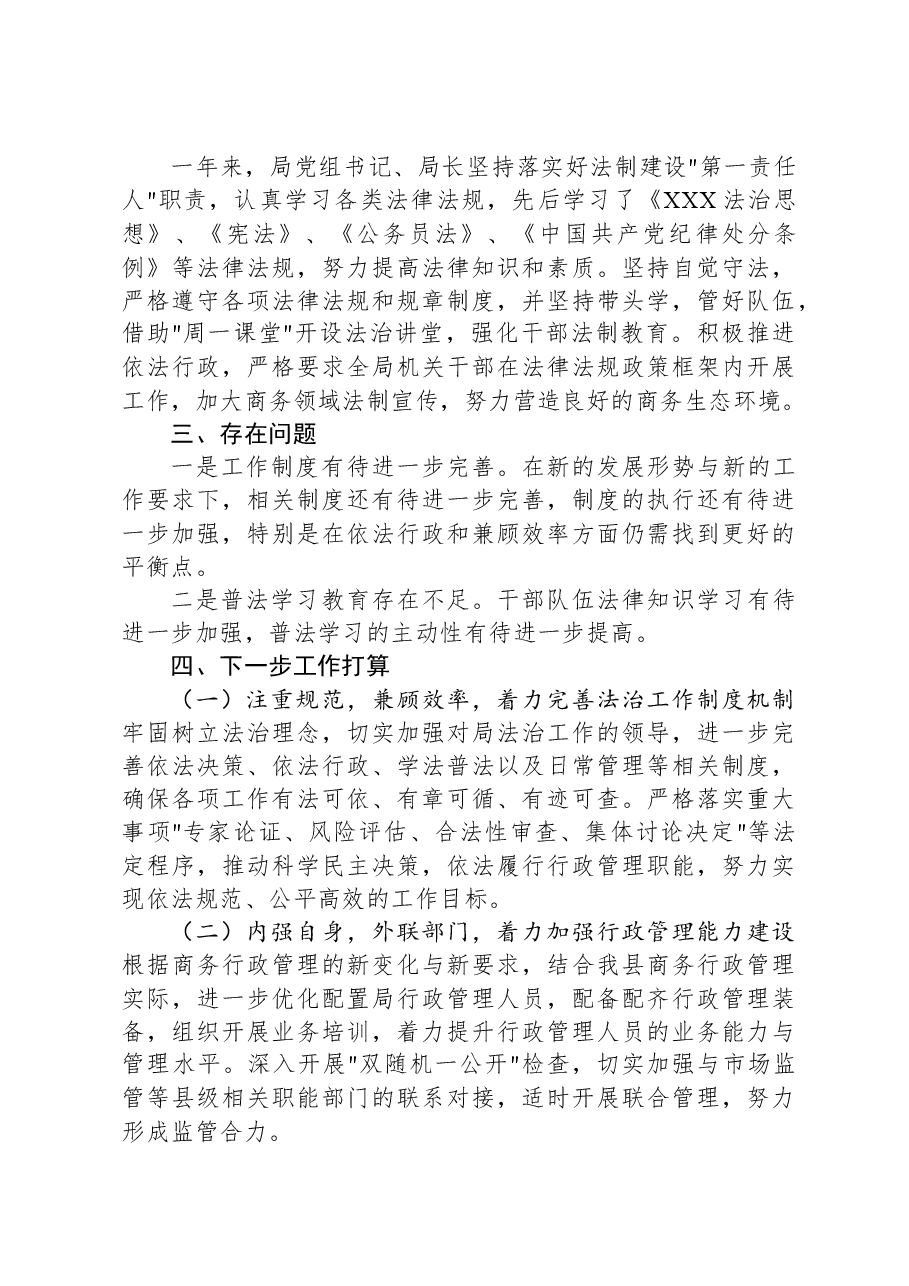 2023年法治政府建设工作报告.docx,第3页预览