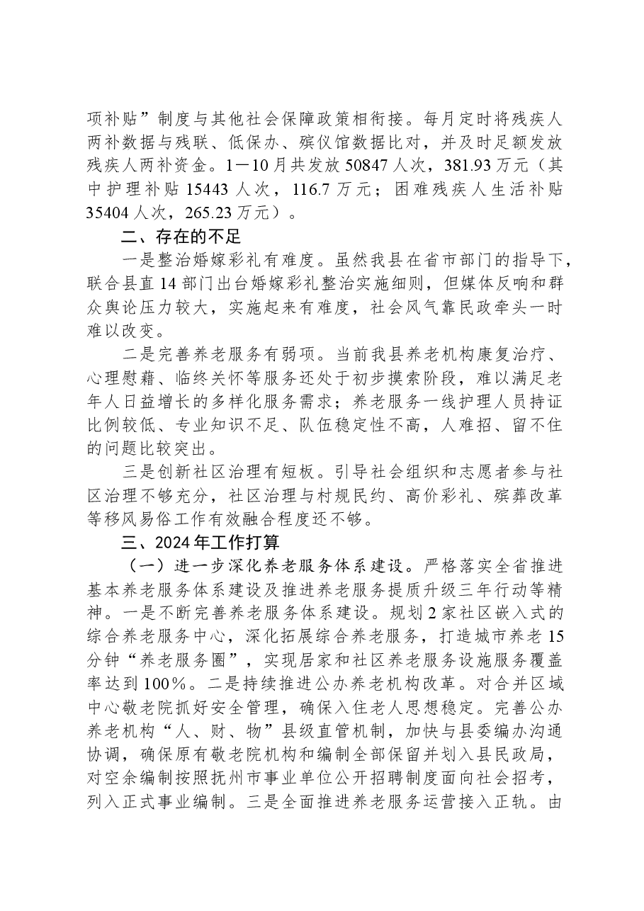 民政局2023年度工作总结和2024年工作计划.docx,第4页预览