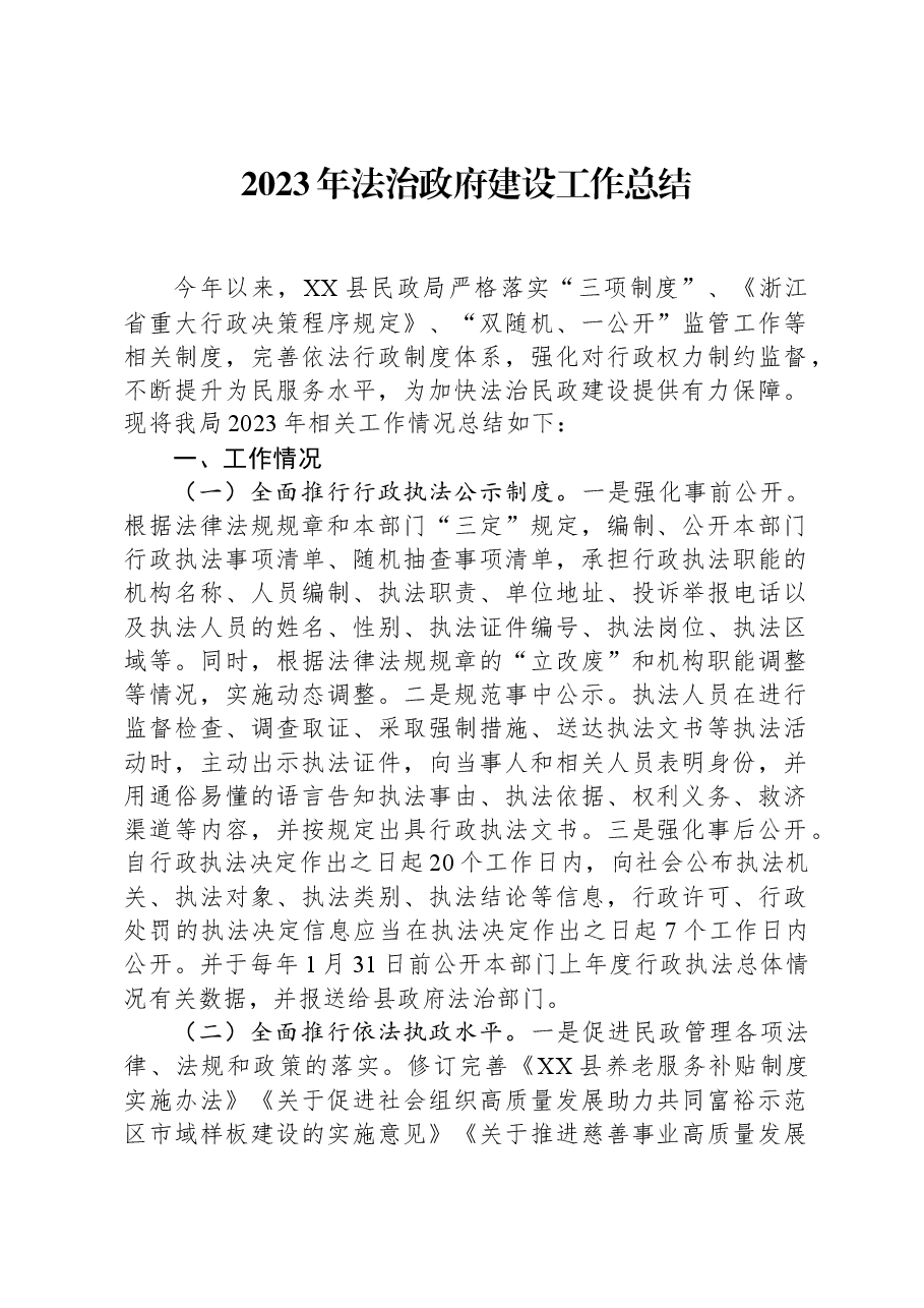 2023年法治政府建设工作总结.docx，第1页预览