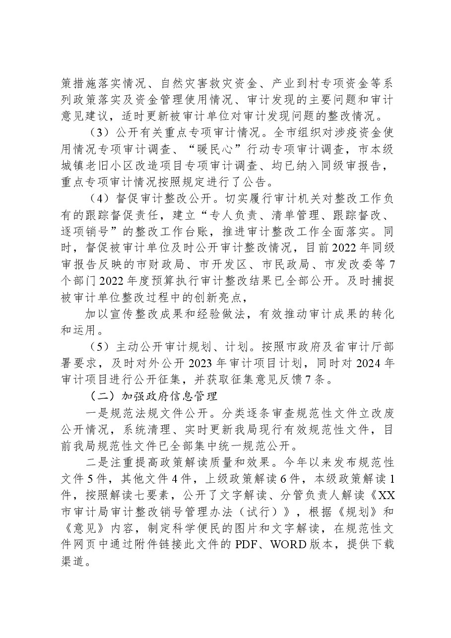 市审计局2023年政务公开工作总结.docx,第2页预览