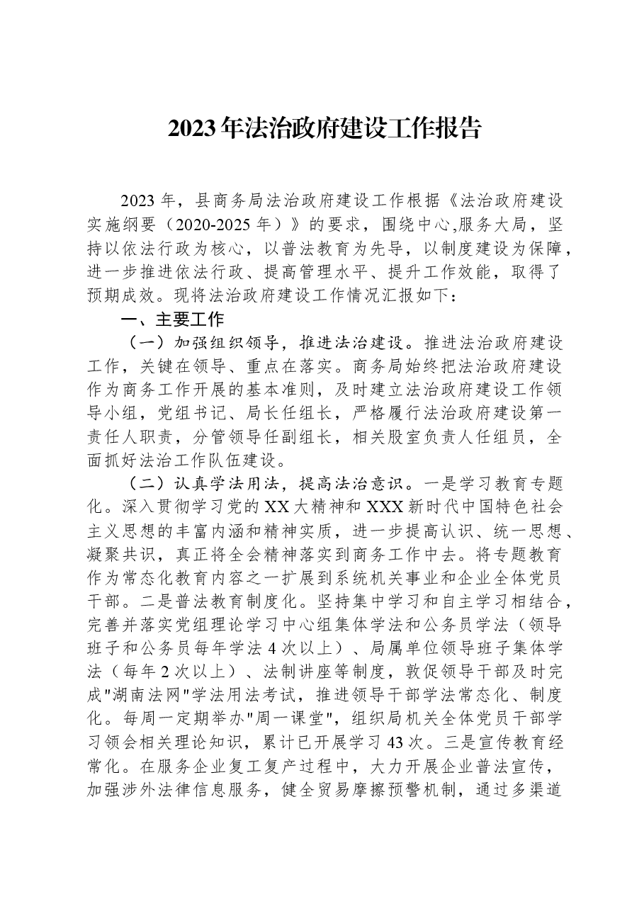 2023年法治政府建设工作报告.docx,第1页预览