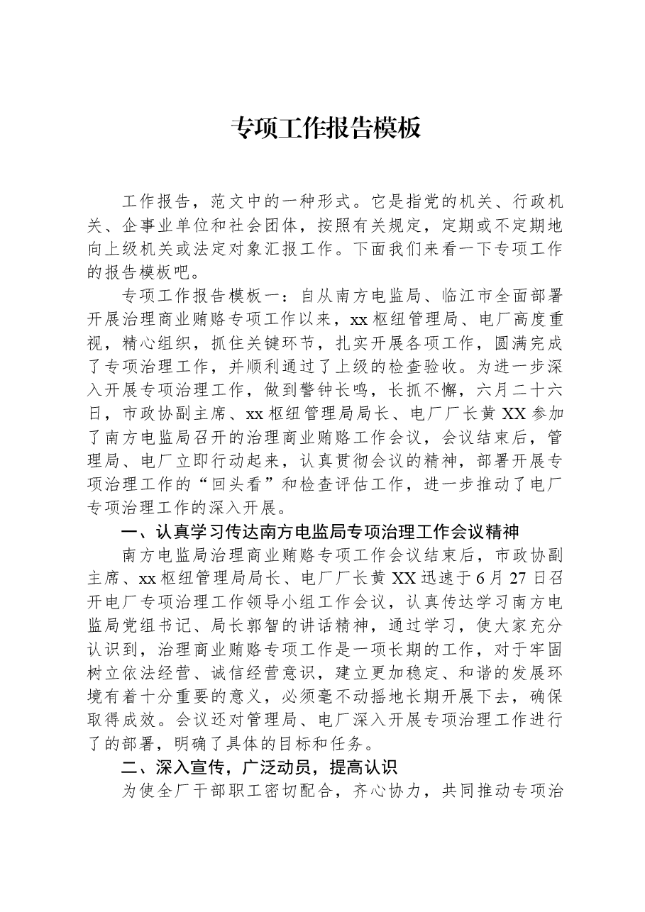 专项工作报告模板.docx,第1页预览