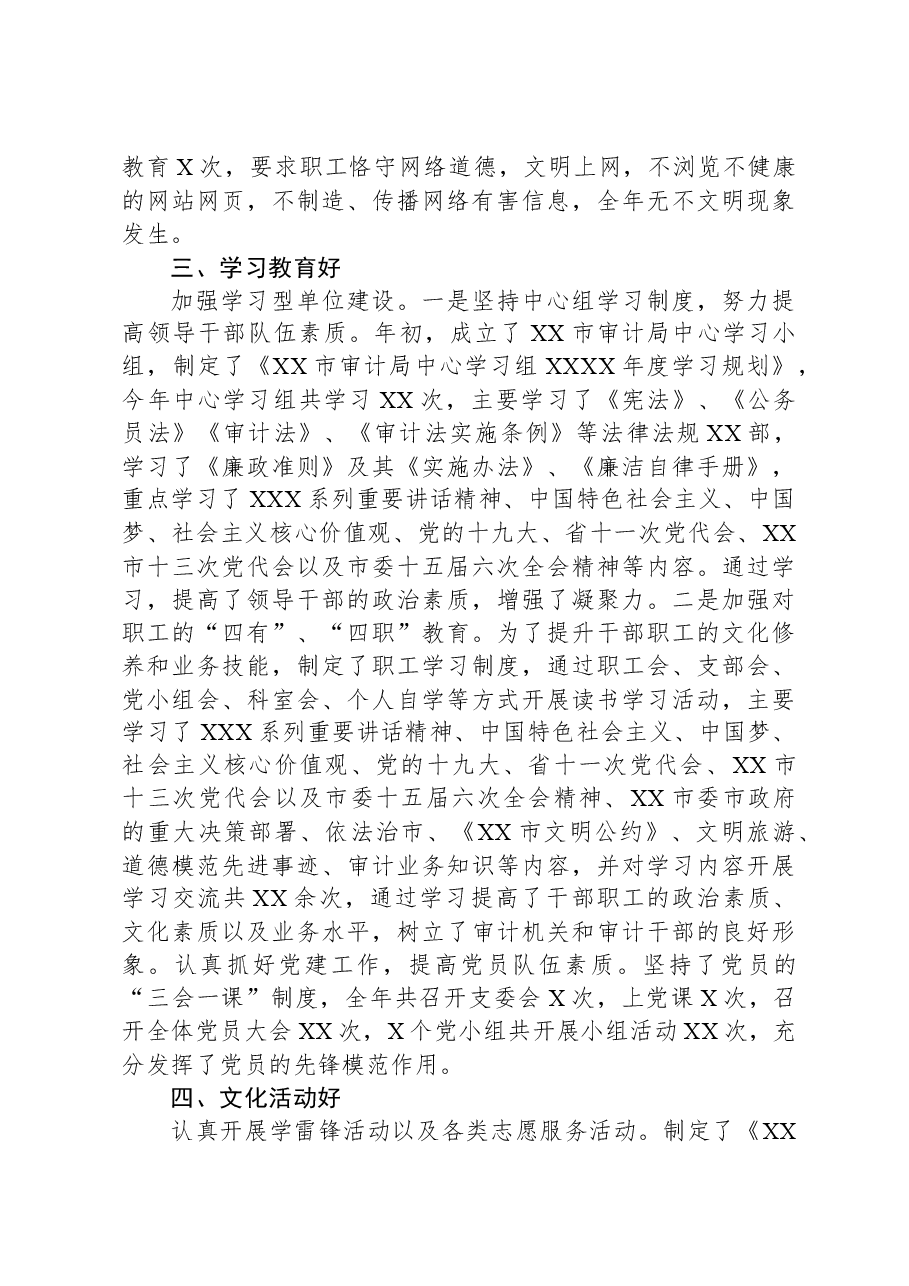 审计局关于市级文明单位复查工作自查报告.docx,第3页预览