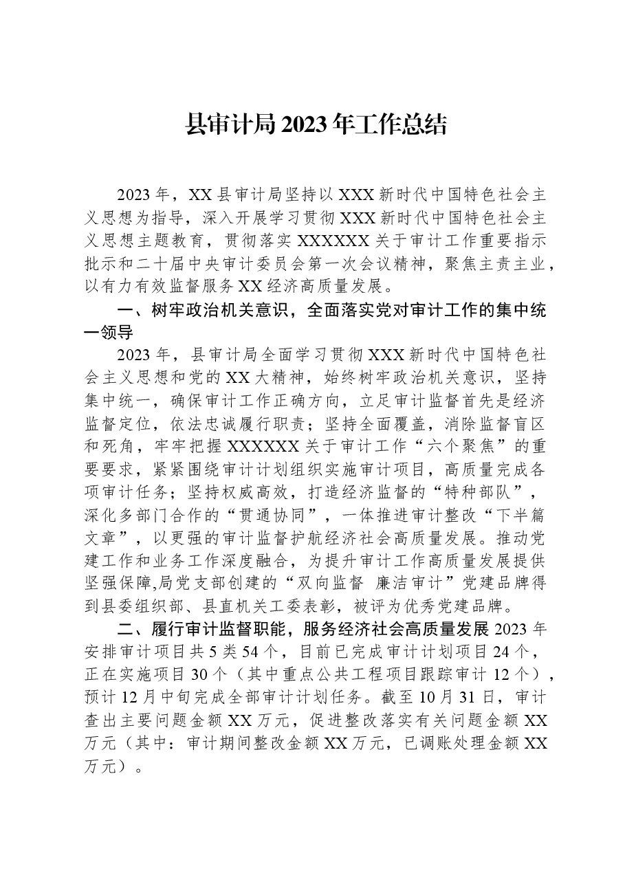 县审计局2023年工作总结.docx,第1页预览