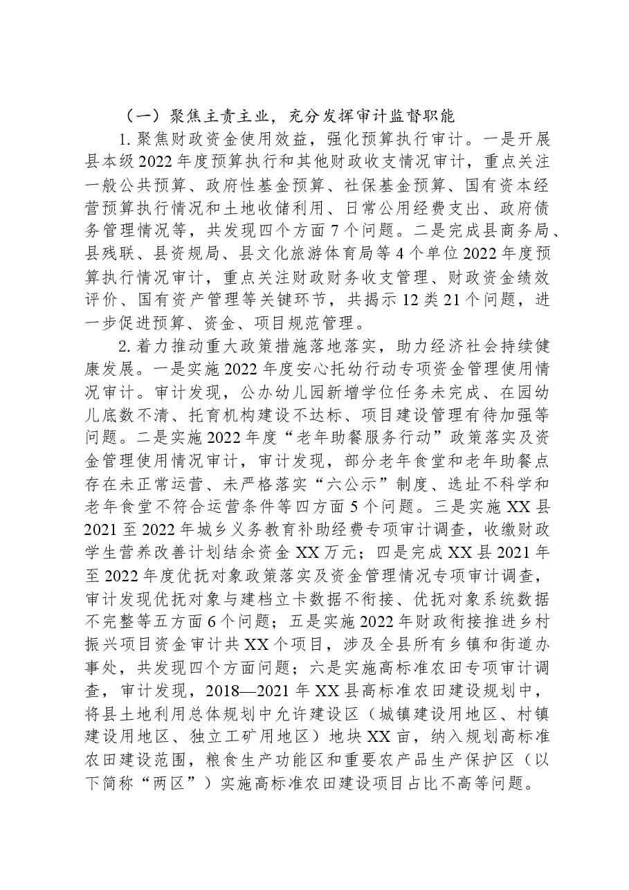 县审计局2023年工作总结.docx,第2页预览