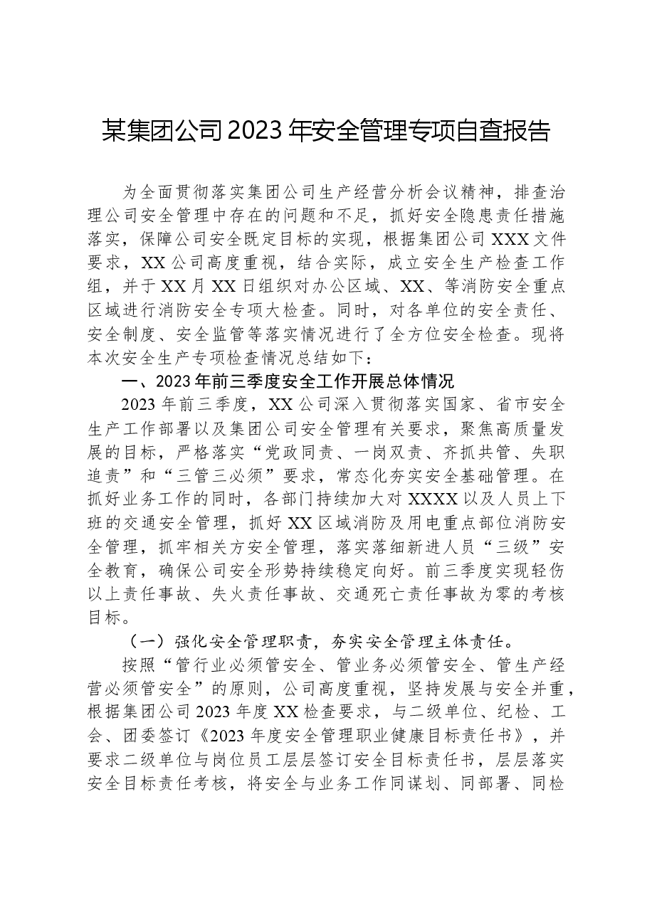 某集团公司2023年安全管理专项自查报告.docx，第1页预览