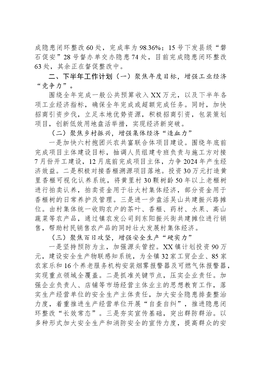 乡镇2023年上半年工作总结及下半年工作计划.docx,第4页预览