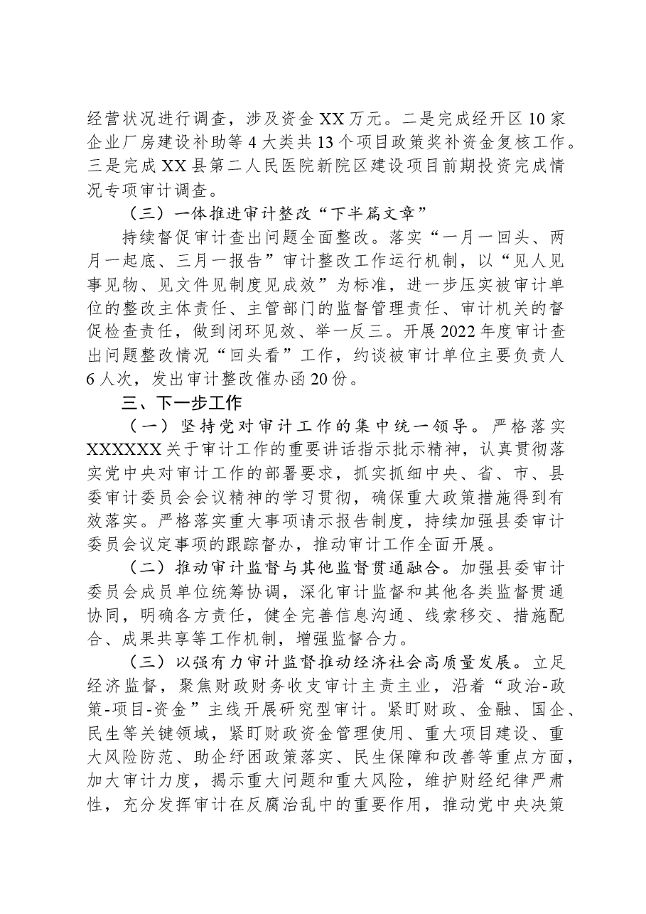 县审计局2023年工作总结.docx,第4页预览