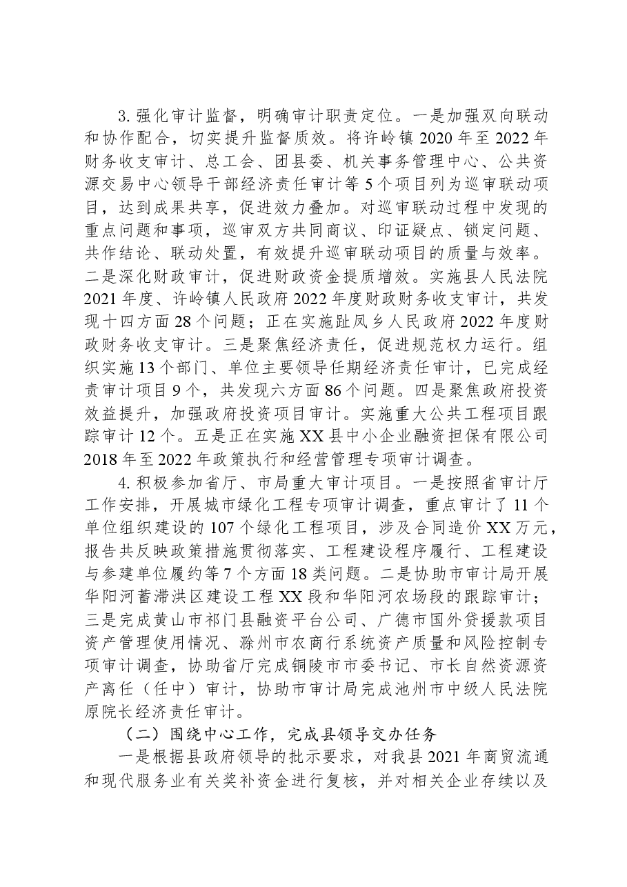 县审计局2023年工作总结.docx,第3页预览