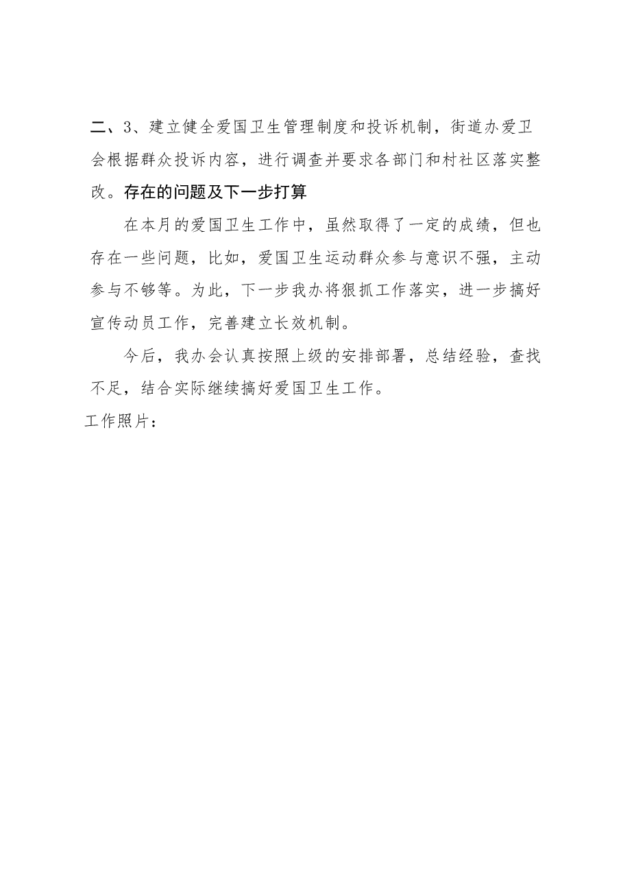 北杜街道国卫复审11月工作开展情况汇报.docx,第3页预览