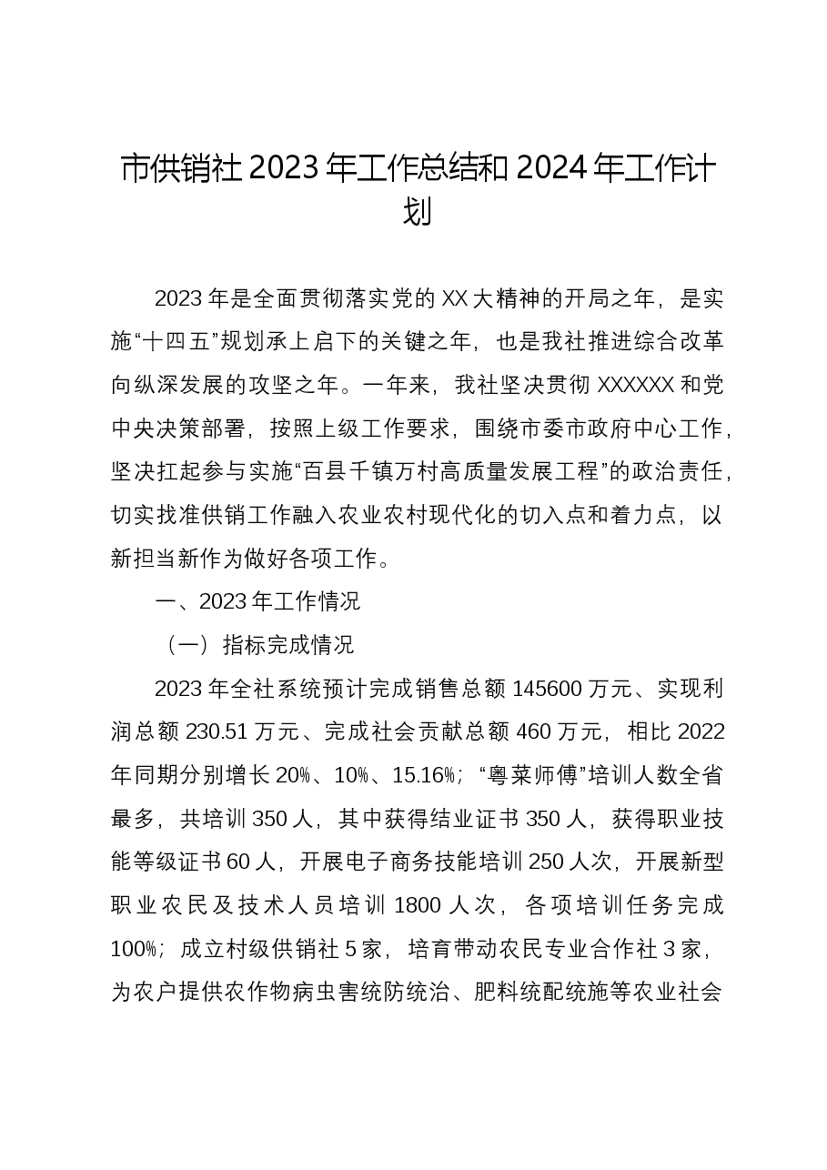 市供销社2023年工作总结和2024年工作计划.docx，第1页预览