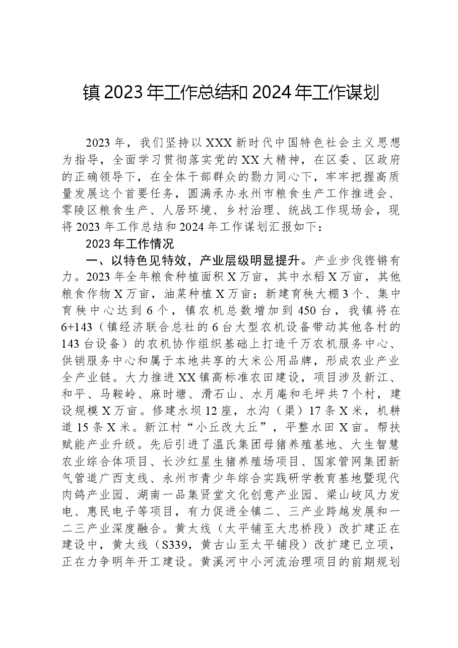 镇2023年工作总结和2024年工作谋划.docx,第1页预览