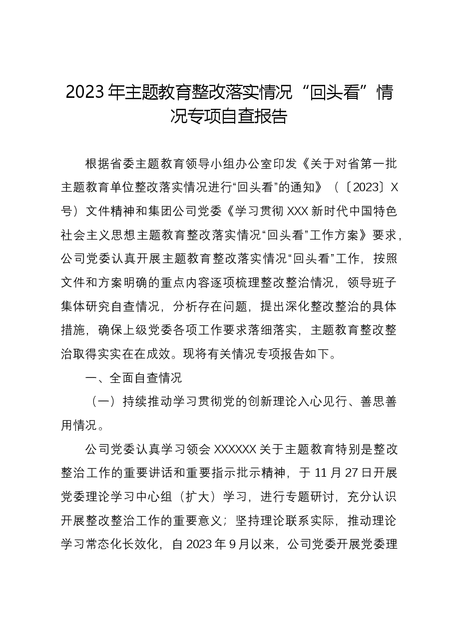 2023年主题教育整改落实情况“回头看”情况专项自查报告.docx，第1页预览