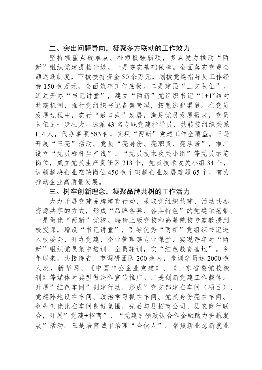县委书记在全市“两新”组织党建工作会议上的汇报发言.docx,第2页预览
