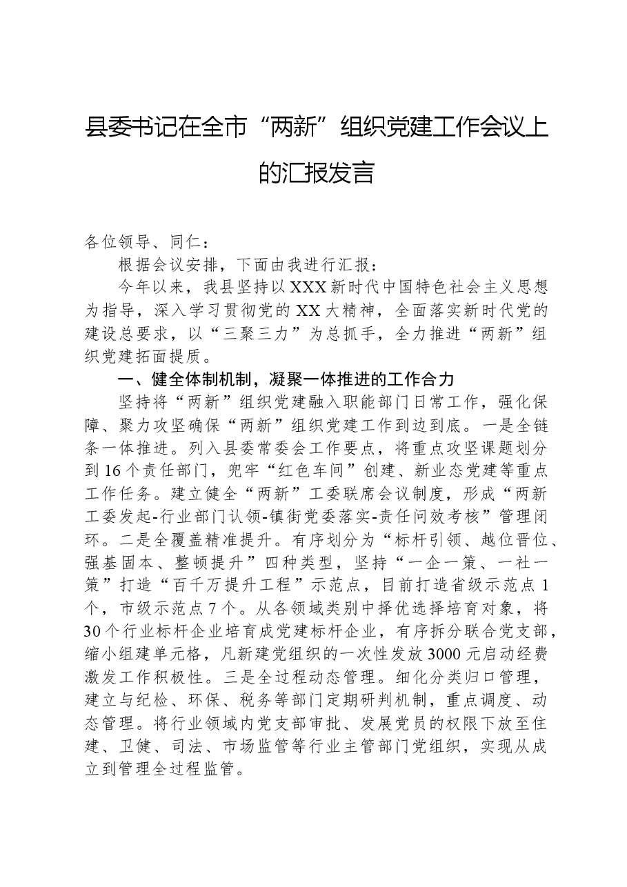 县委书记在全市“两新”组织党建工作会议上的汇报发言.docx,第1页预览