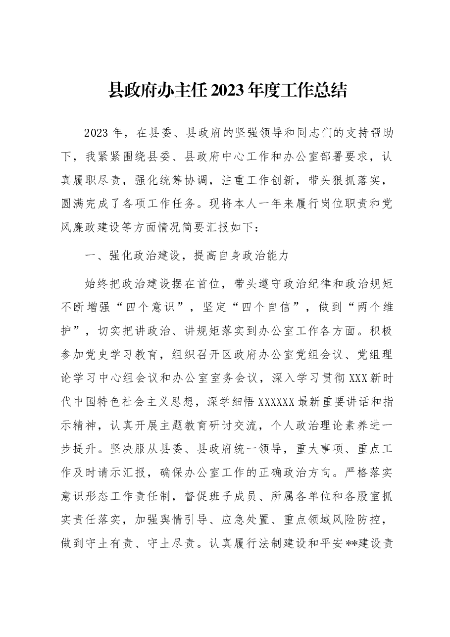 县政府办主任2023年度工作总结.docx，第1页预览