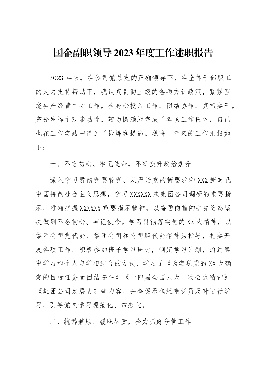 国企副职领导2023年度工作述职报告.docx,第1页预览