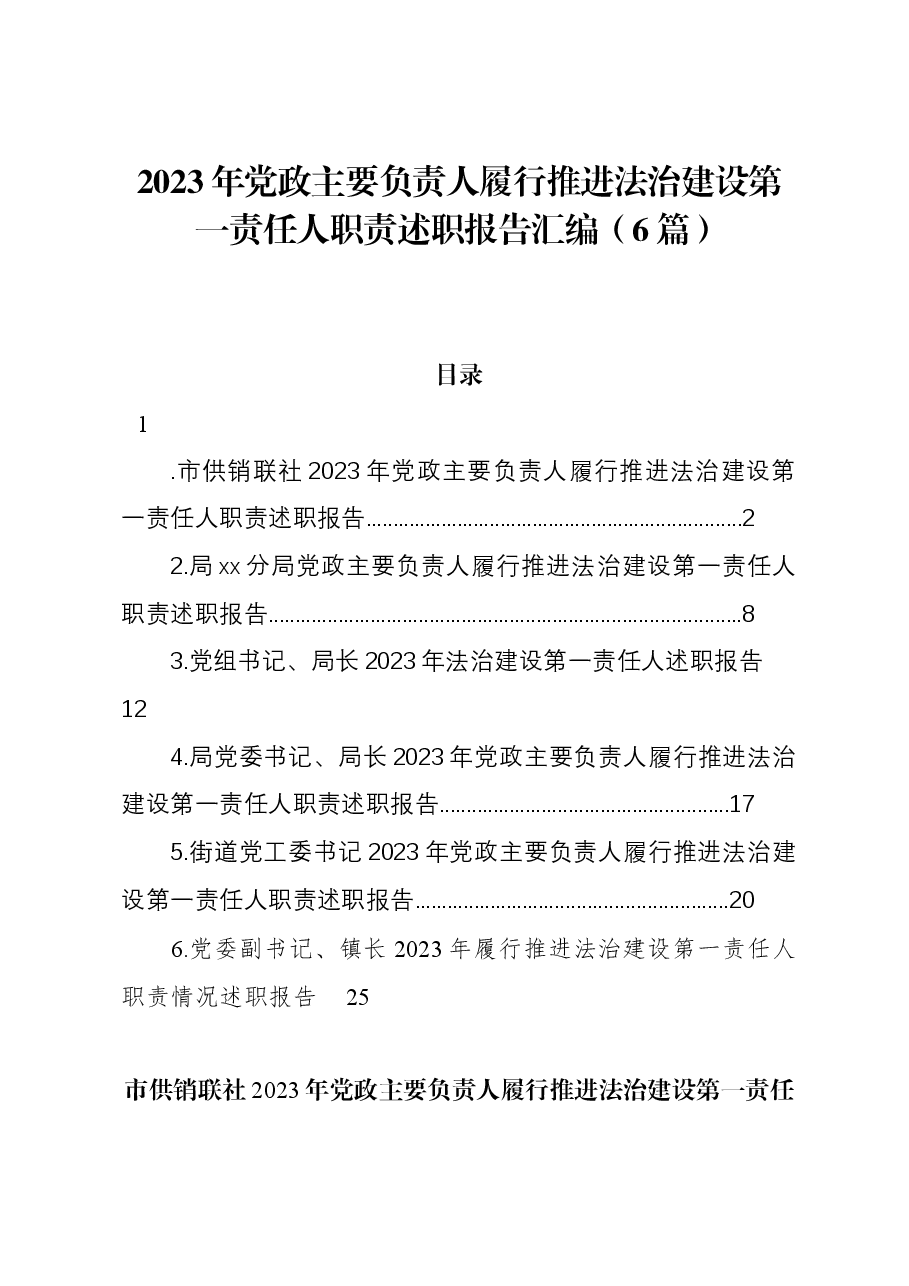 (6篇)2023年党政主要负责人履行推进法治建设第一责任人职责述职报告汇编.docx,第1页预览