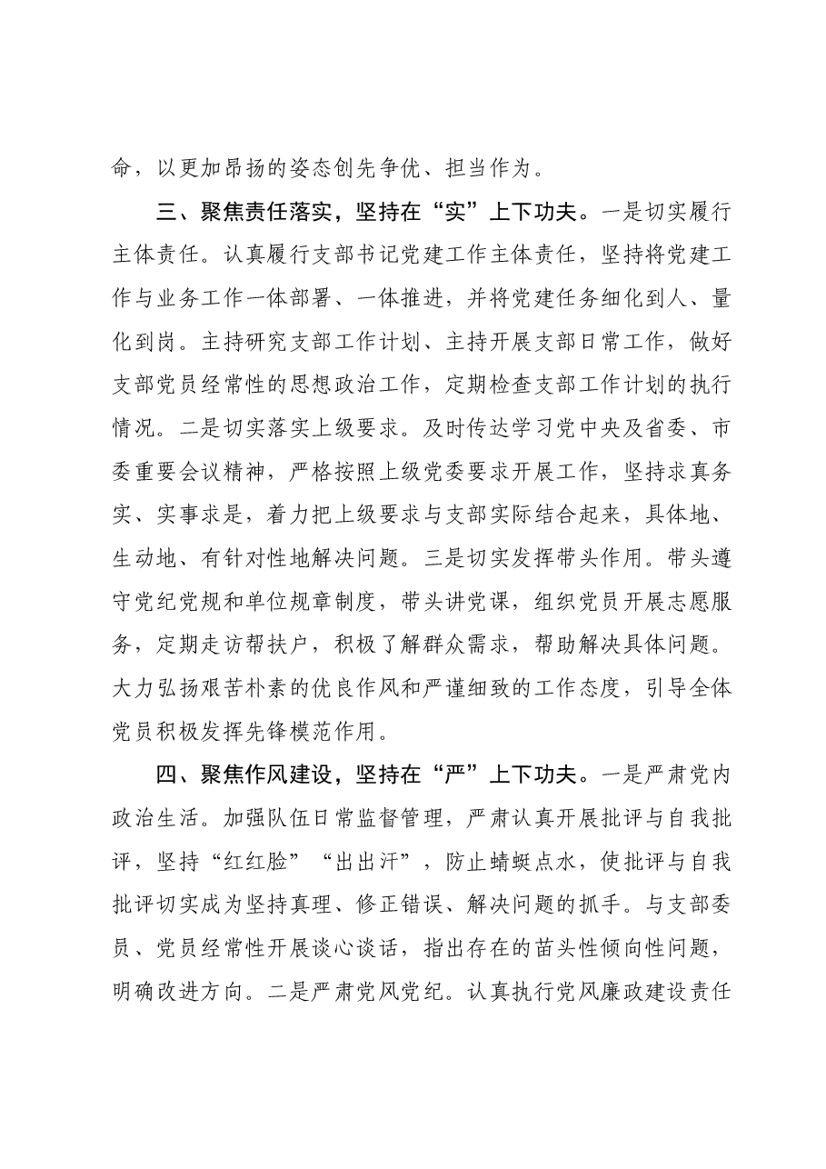 党支部书记抓党建工作述职报告1204.docx,第3页预览