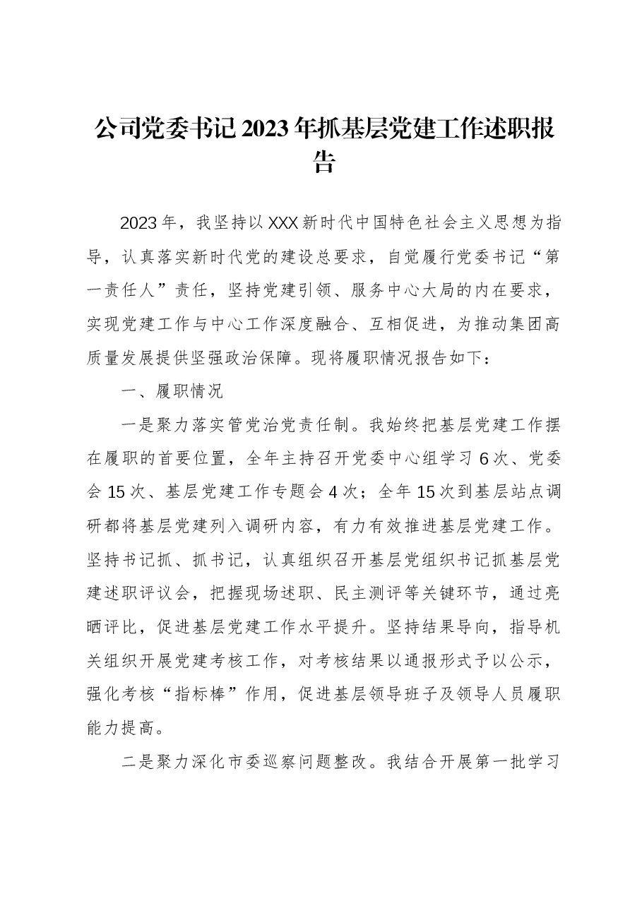 公司党委书记2023年抓基层党建工作述职报告.docx,第1页预览