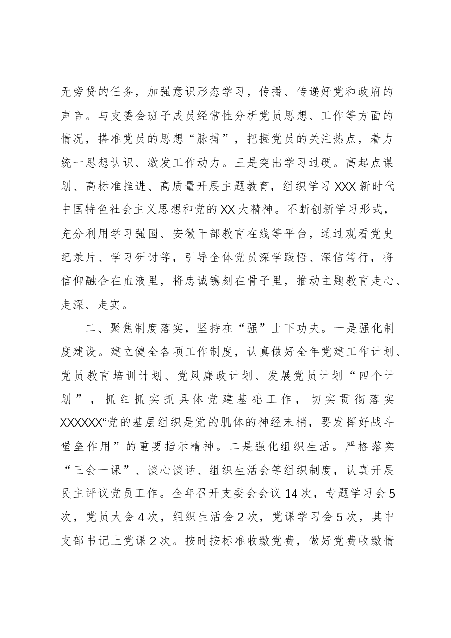 党支部书记2023年抓党建工作述职报告.docx,第2页预览