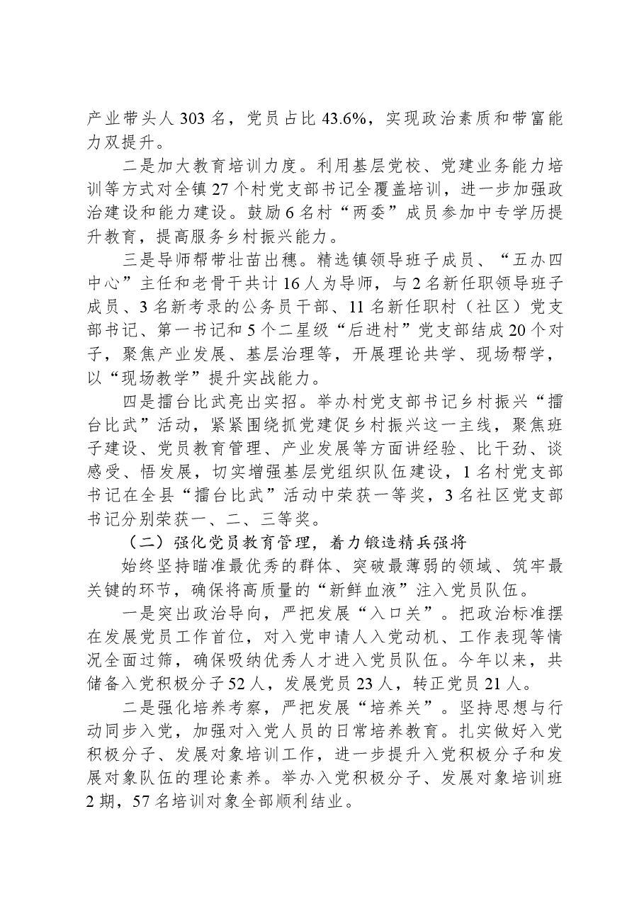 乡镇党支部书记抓党建述职报告.docx,第3页预览