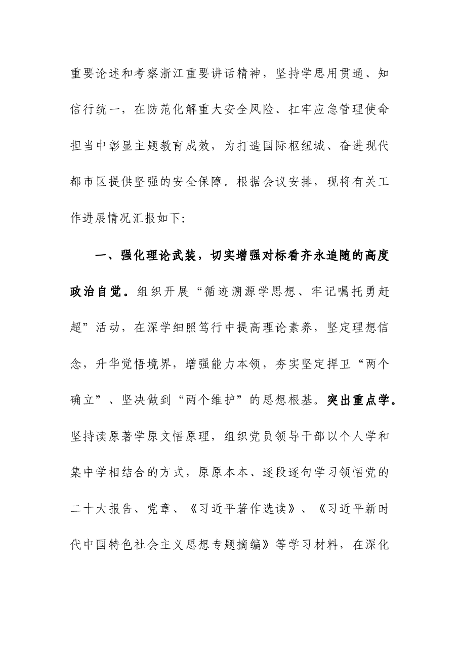 应急管理局在市委主题教育调研督导会上的汇报发言范文.docx,第2页预览
